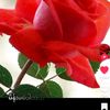 user1196235399000