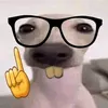 nanie.tran1