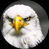 pashtosongs464