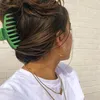 alerimmaria
