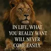 adam.hicks80
