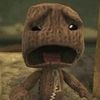 turtsmuggler