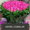 um.kamal2