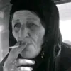 zh234566