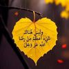 user3734930619832