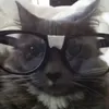 larsenautista