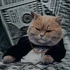 bumbumboobssneakycatpurr
