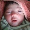 hagee.asimal.oad
