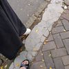 nfadzar_