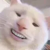 iunguoibinhthuong1