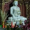 monk.monk96