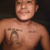 nnn11593