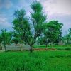 villageandcitylife