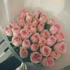 yulia_5270