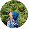 mamunroshid398