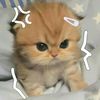 tataaaa_0820