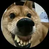 thien.phuc.phan3
