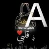 user16379727184798