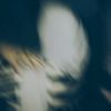 naii_2894