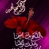 user4792523306783