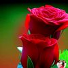 khattak.8255