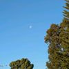 unknowndiva_2000