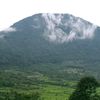 simongtarigan