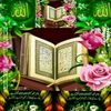 user9933866540232