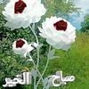 didjehassan