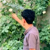 ml.z__17
