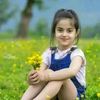 janpakhi1143268