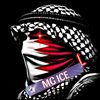 mgice905