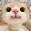 chwdi_byz