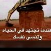 ibra.al1