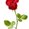 user3260227306812