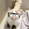 eihninphyo03
