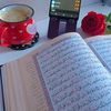 noorhadayat1