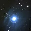 taygetastarseed_m45