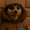 acemantee