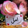 aml.hassan188