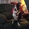 karen.h217