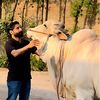 usman.butt2696