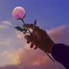 saad52314786