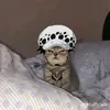 la_w32.2