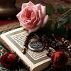 quran.status4