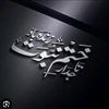hafizmyousafrizvi