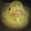 expiredflesh1