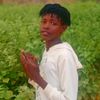user7084918528559
