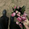 ghala_36gg