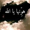 mahmoud.af.12